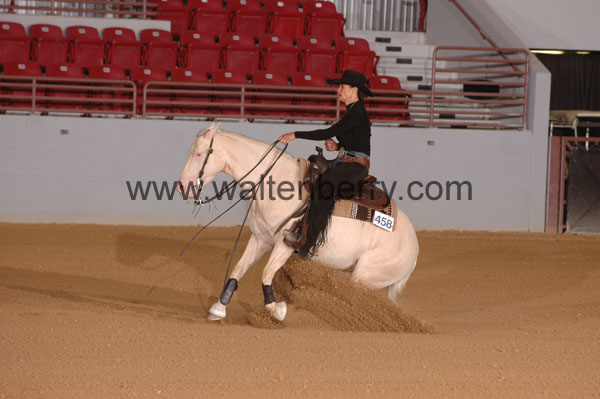 458 SN09p29A.1 - 045