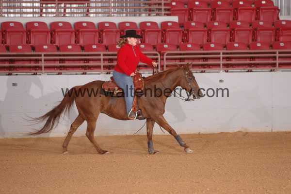 461 SN09p29A.1 - 003