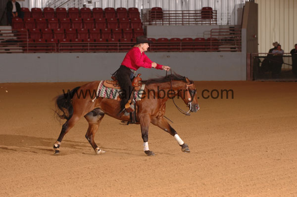 466 SN09p14B.1 - 047