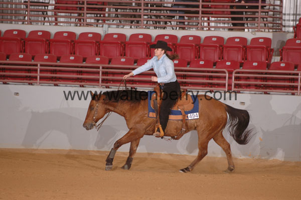 494 SN09p14A.2 - 055