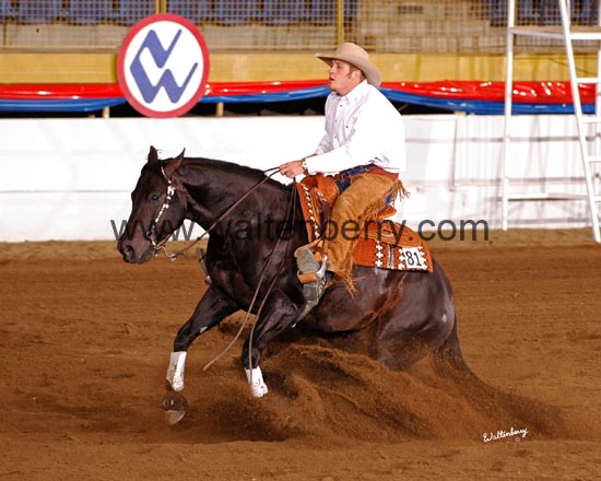 081 WI06p5F- 078 jarvis