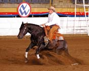 081 WI06p5F- 078 jarvis