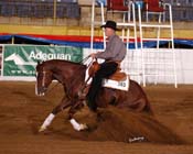 303 WI06p1F- 070 dillman
