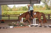 1512 WQ07p7- 199
