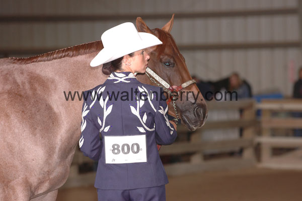 800 WQ07p1- 036