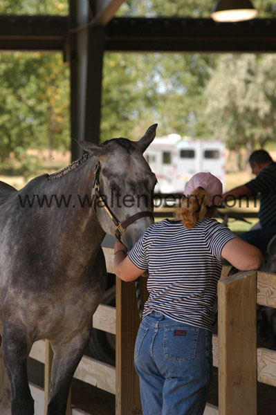 candid WQ08p23- 012